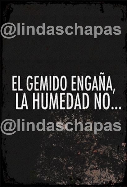 Frases / Carteles